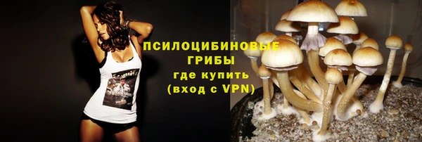 не бодяженный Белокуриха