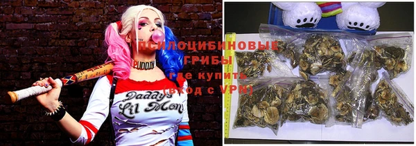 не бодяженный Белокуриха